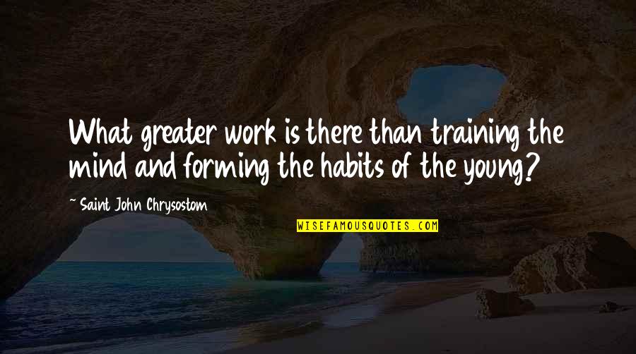 Work Habits Quotes By Saint John Chrysostom: What greater work is there than training the