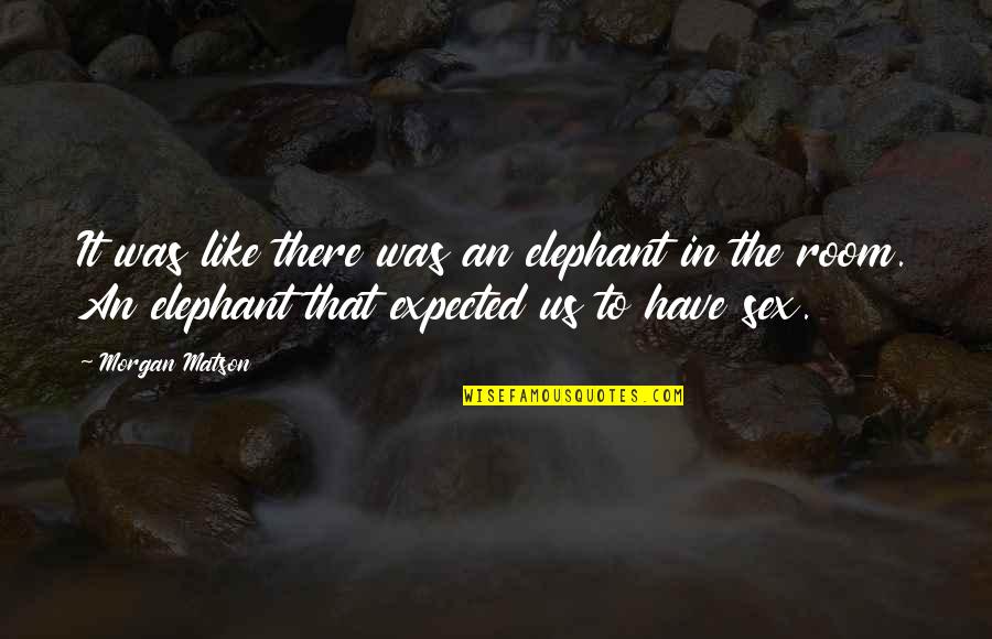 Work Hard And You Shall Be Rewarded Quotes By Morgan Matson: It was like there was an elephant in