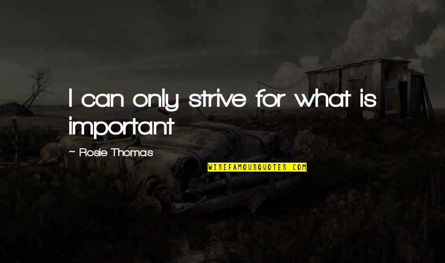 Work Hard Motivational Quotes By Rosie Thomas: I can only strive for what is important