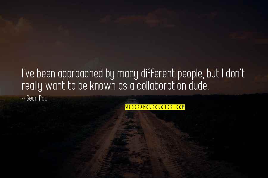 Work Hard Now Enjoy Life Later Quotes By Sean Paul: I've been approached by many different people, but Work Hard Now Enjoy Life Later Quotes By Sean Paul: I've been approached by many different people, but