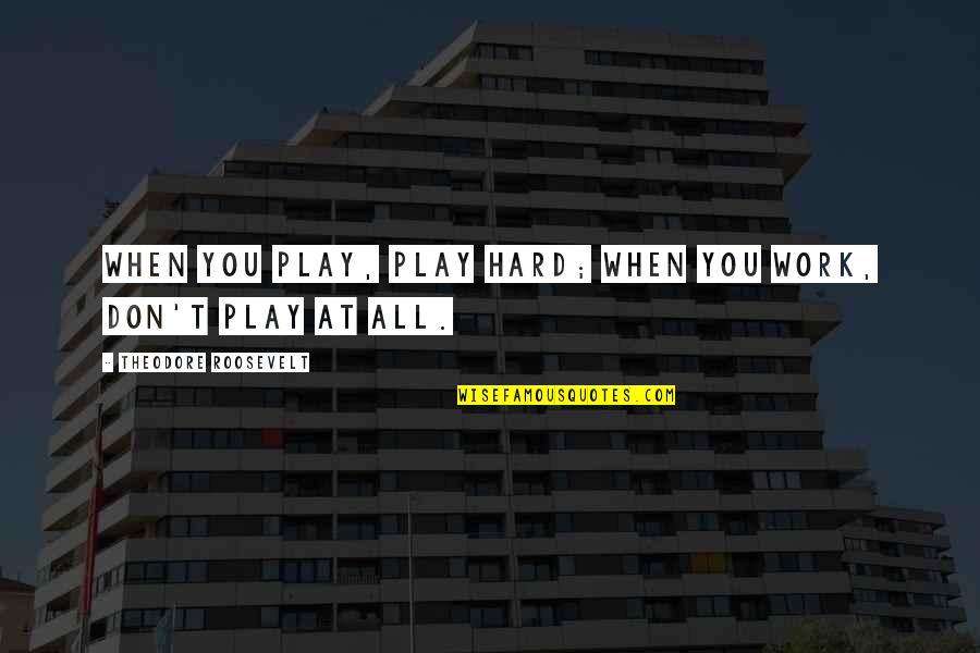 Work Hard Play Hard Quotes By Theodore Roosevelt: When you play, play hard; when you work,