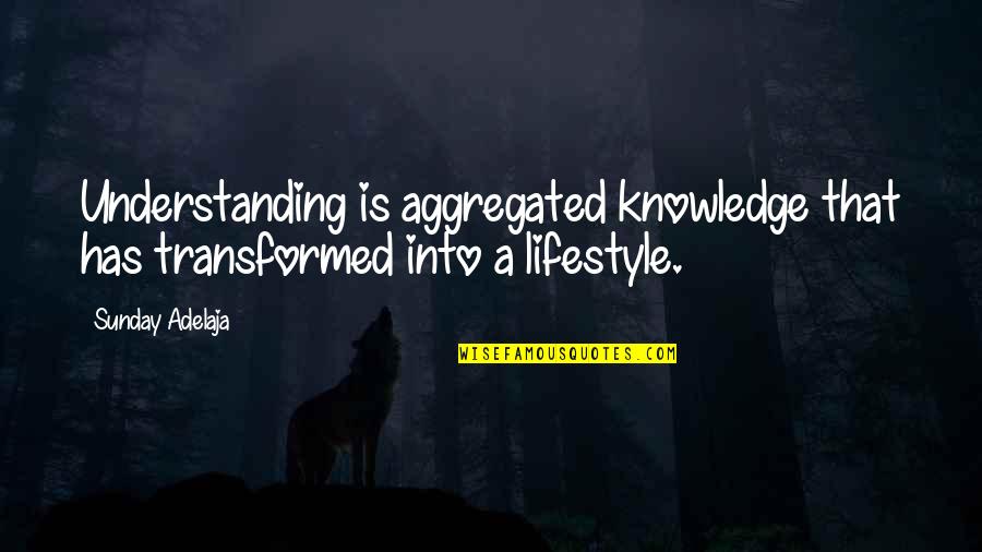 Work In Grapes Of Wrath Quotes By Sunday Adelaja: Understanding is aggregated knowledge that has transformed into