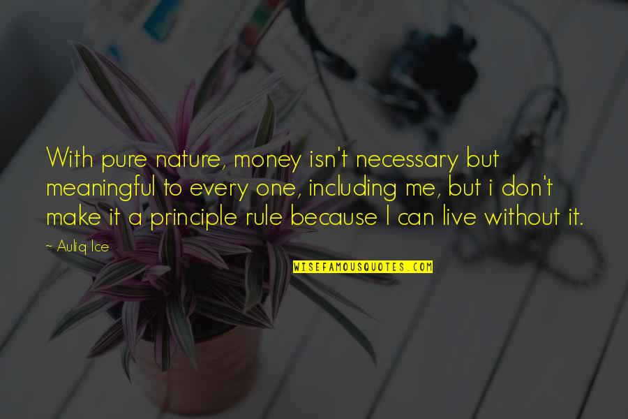 Work In Nature Quotes By Auliq Ice: With pure nature, money isn't necessary but meaningful