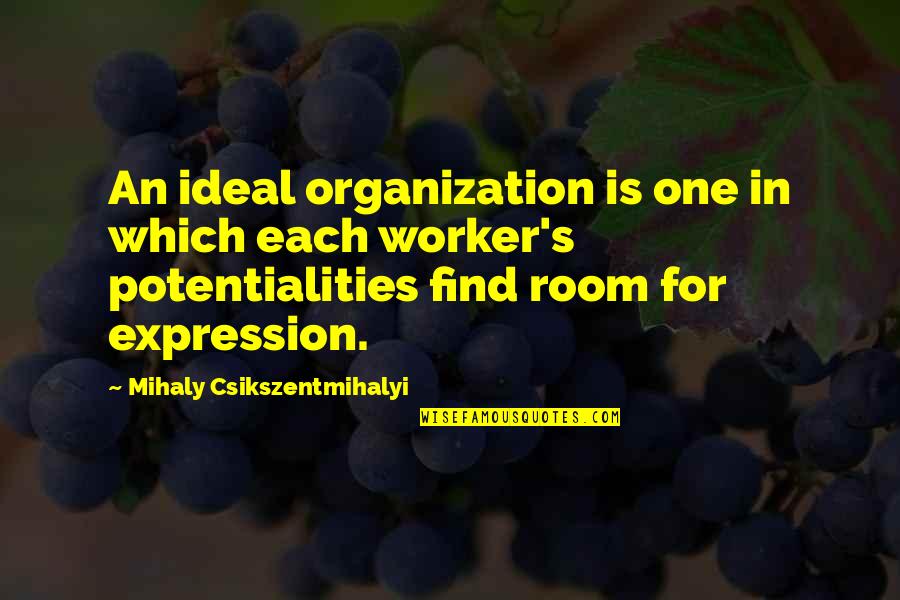 Work Is For Quotes By Mihaly Csikszentmihalyi: An ideal organization is one in which each