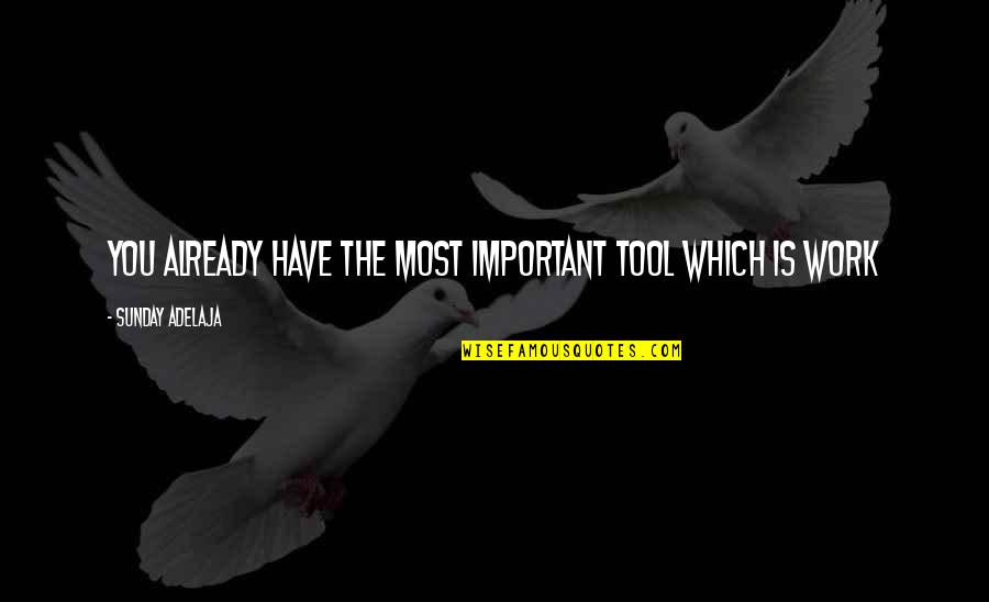 Work Is Great Quotes By Sunday Adelaja: You already have the most important tool which