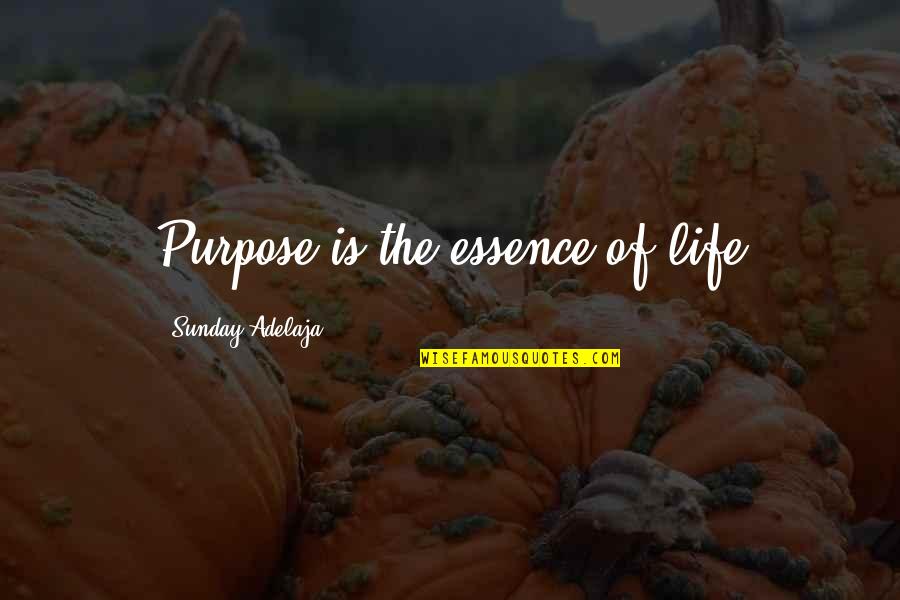 Work Is Worship Quotes By Sunday Adelaja: Purpose is the essence of life