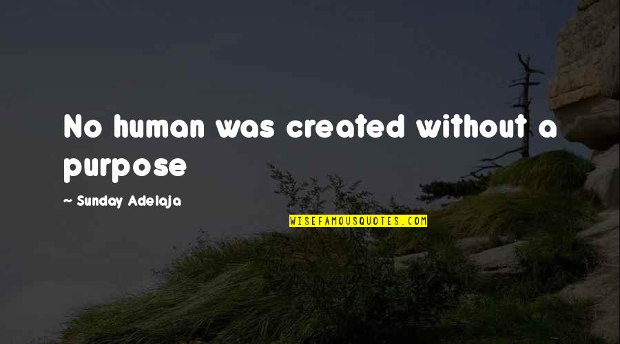 Work No Life Quotes By Sunday Adelaja: No human was created without a purpose Work No Life Quotes By Sunday Adelaja: No human was created without a purpose