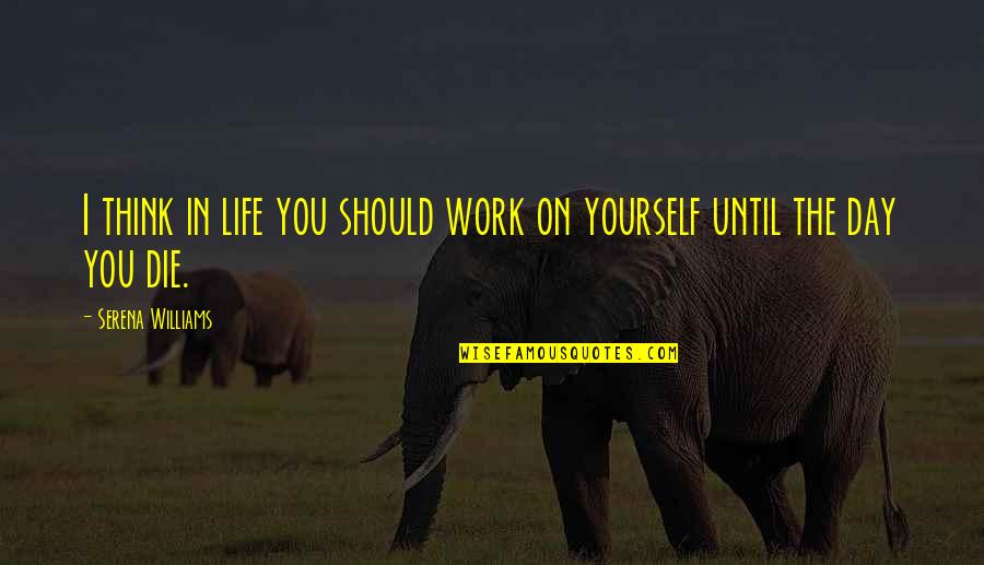 Work On Yourself Quotes By Serena Williams: I think in life you should work on