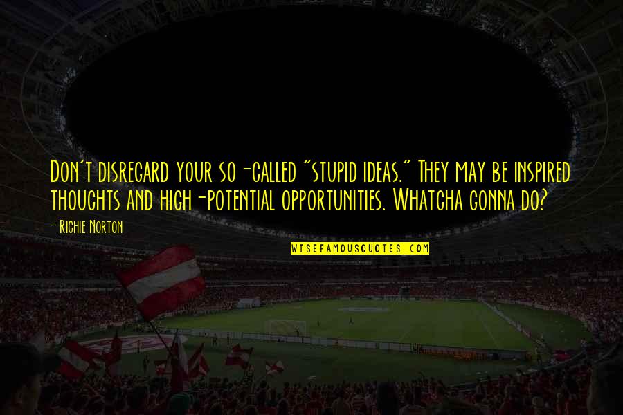 Work Opportunities Quotes By Richie Norton: Don't disregard your so-called "stupid ideas." They may Work Opportunities Quotes By Richie Norton: Don't disregard your so-called "stupid ideas." They may