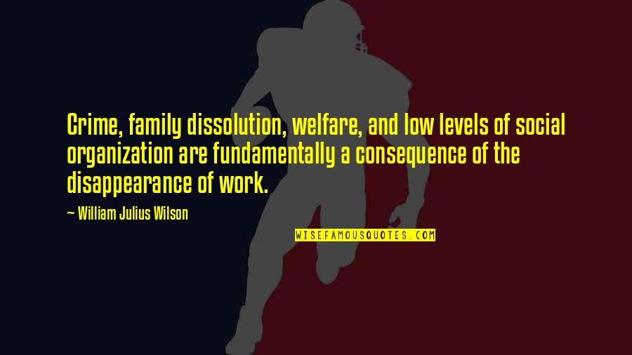 Work Organization Quotes By William Julius Wilson: Crime, family dissolution, welfare, and low levels of
