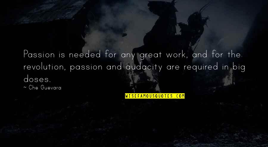 Work Passion Quotes By Che Guevara: Passion is needed for any great work, and