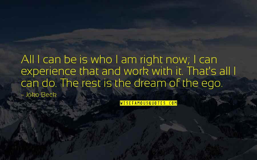 Work Quotes By Joko Beck: All I can be is who I am Work Quotes By Joko Beck: All I can be is who I am