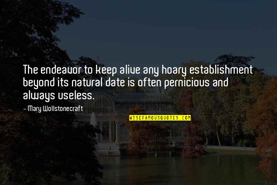 Work Service Anniversary Quotes By Mary Wollstonecraft: The endeavor to keep alive any hoary establishment Work Service Anniversary Quotes By Mary Wollstonecraft: The endeavor to keep alive any hoary establishment