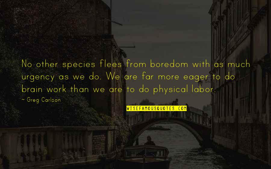 Work With Urgency Quotes By Greg Carlson: No other species flees from boredom with as