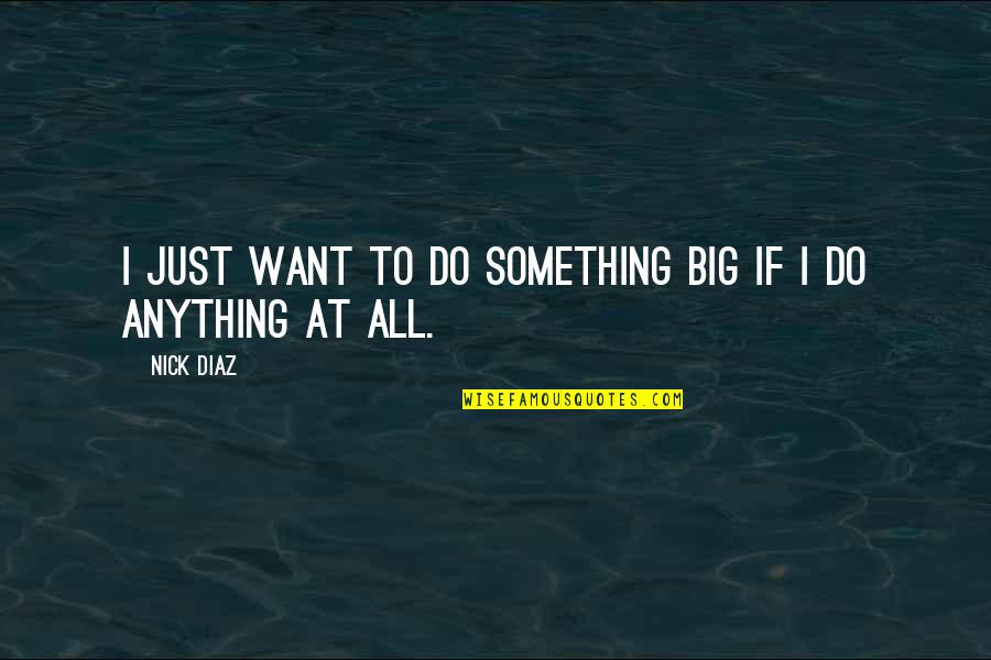 Workaholism Treatment Quotes By Nick Diaz: I just want to do something big if
