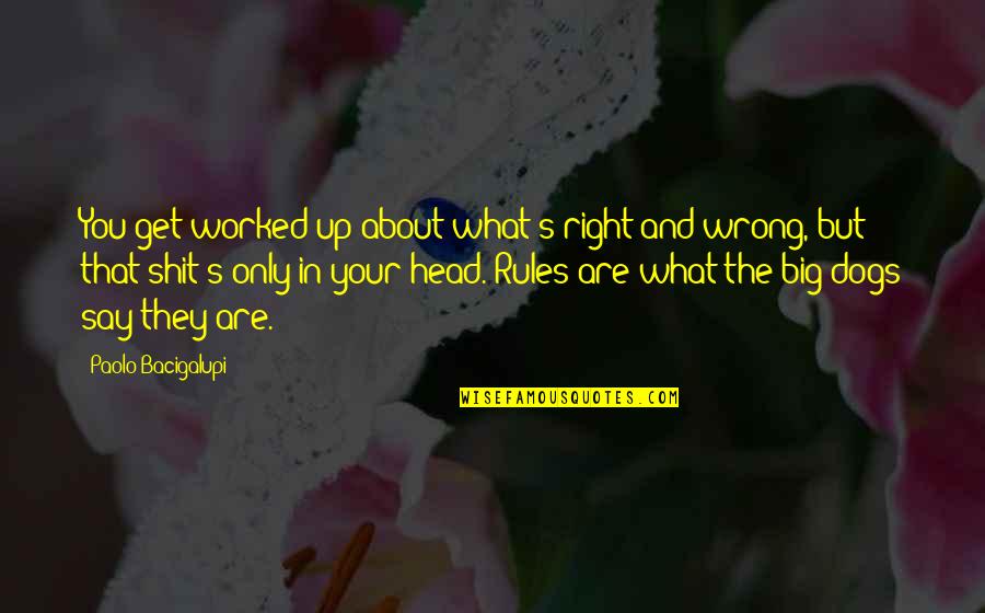 Worked Up Quotes By Paolo Bacigalupi: You get worked up about what's right and