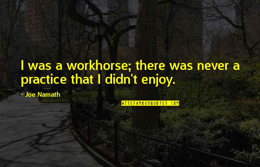 Workhorse Quotes By Joe Namath: I was a workhorse; there was never a