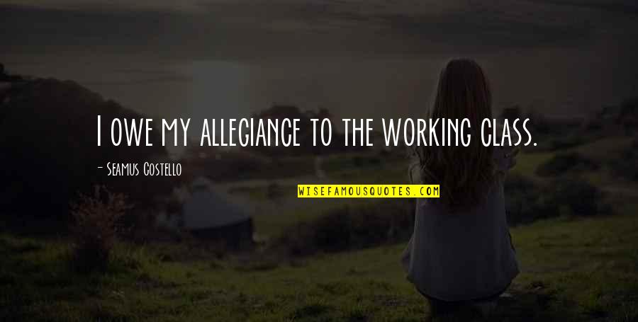 Working Class Quotes By Seamus Costello: I owe my allegiance to the working class.