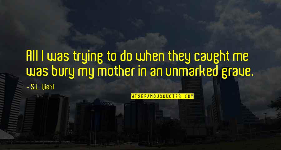 Working Dogs Quotes By S.L. Viehl: All I was trying to do when they