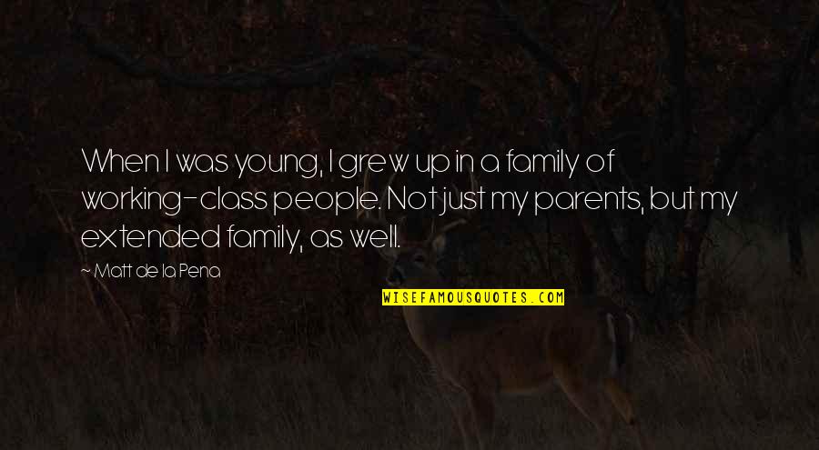 Working Family Quotes By Matt De La Pena: When I was young, I grew up in