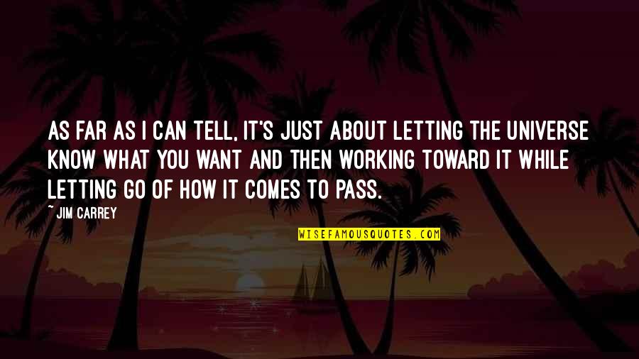 Working For What U Want Quotes By Jim Carrey: As far as I can tell, it's just