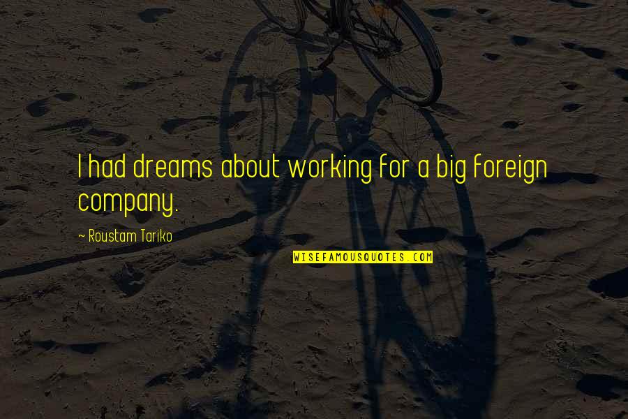 Working For Your Dreams Quotes By Roustam Tariko: I had dreams about working for a big