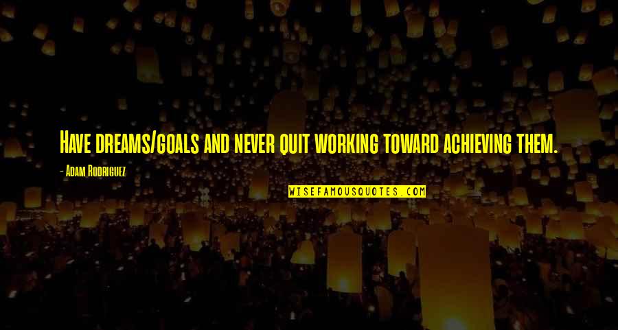 Working For Your Goals Quotes By Adam Rodriguez: Have dreams/goals and never quit working toward achieving