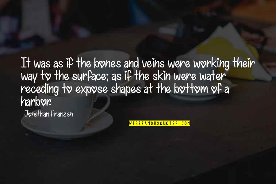 Working From The Bottom Up Quotes By Jonathan Franzen: It was as if the bones and veins