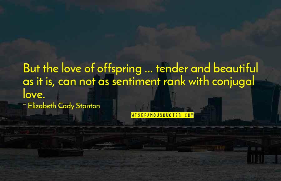 Working In Ems Quotes By Elizabeth Cady Stanton: But the love of offspring ... tender and