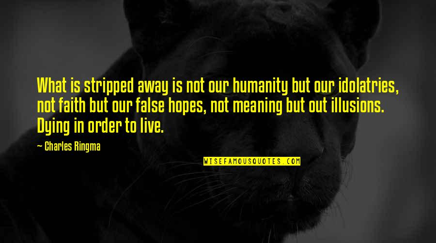 Working In The Dark Quotes By Charles Ringma: What is stripped away is not our humanity
