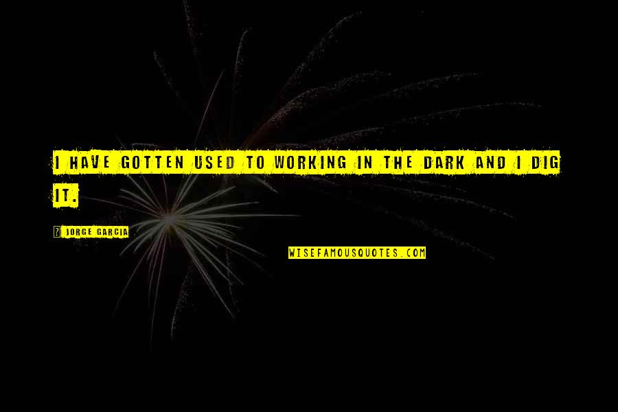 Working In The Dark Quotes By Jorge Garcia: I have gotten used to working in the