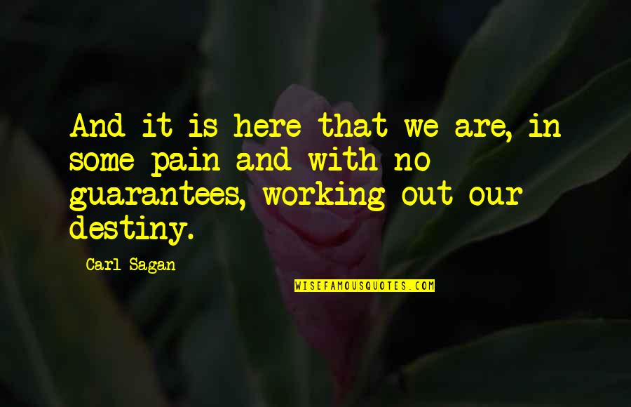 Working It Out Quotes By Carl Sagan: And it is here that we are, in