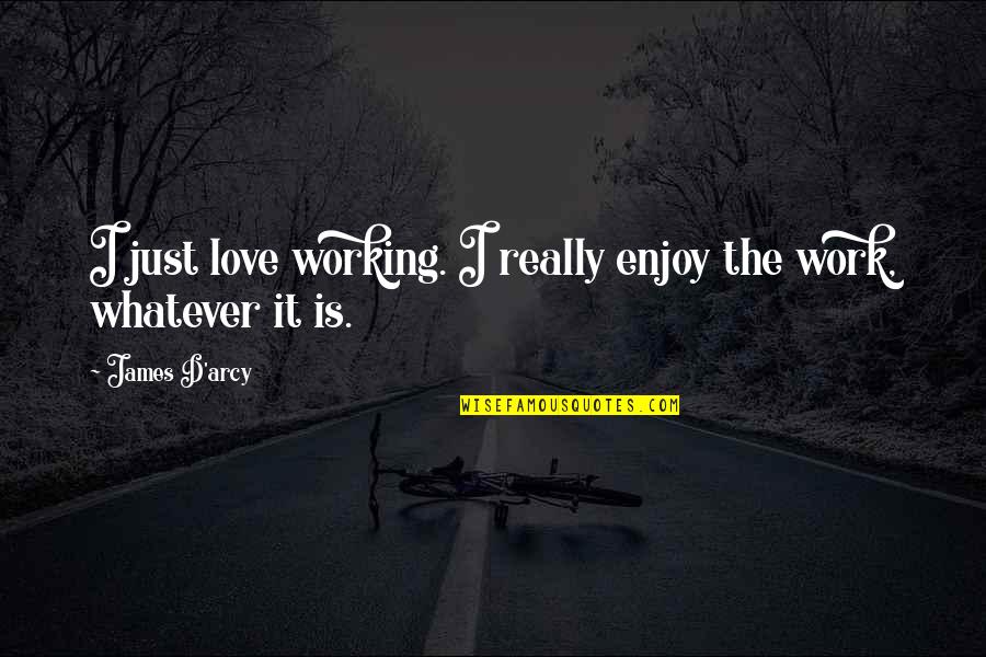 Working Love Out Quotes By James D'arcy: I just love working. I really enjoy the
