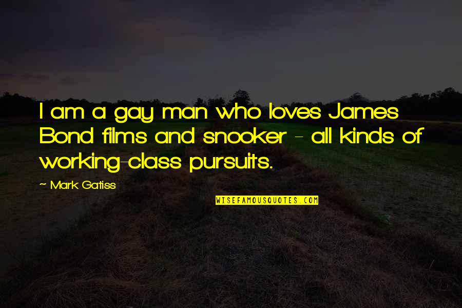 Working Man Quotes By Mark Gatiss: I am a gay man who loves James