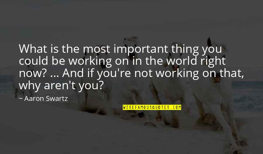 Working Now Quotes By Aaron Swartz: What is the most important thing you could