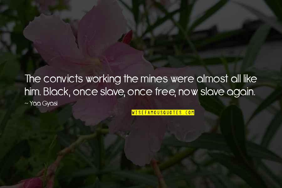 Working Now Quotes By Yaa Gyasi: The convicts working the mines were almost all
