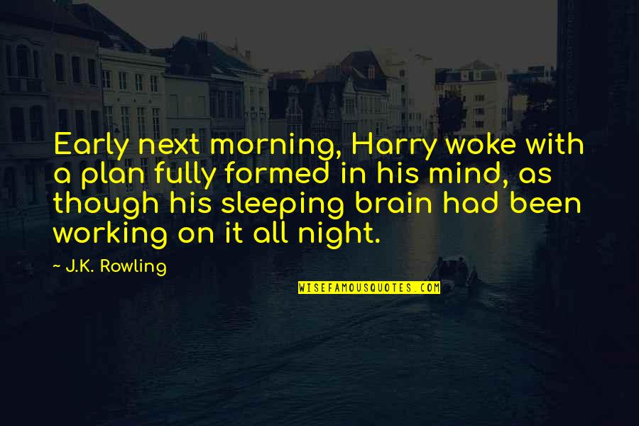 Working Out Early Quotes By J.K. Rowling: Early next morning, Harry woke with a plan