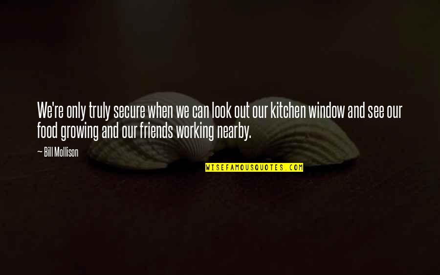 Working Out With Friends Quotes By Bill Mollison: We're only truly secure when we can look