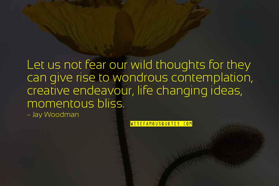 Working Passionately Quotes By Jay Woodman: Let us not fear our wild thoughts for