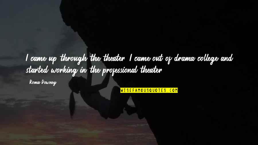 Working Professional Quotes By Roma Downey: I came up through the theater. I came