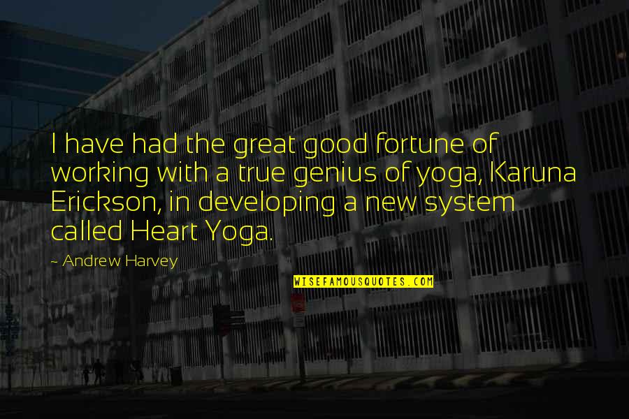 Working The System Quotes By Andrew Harvey: I have had the great good fortune of