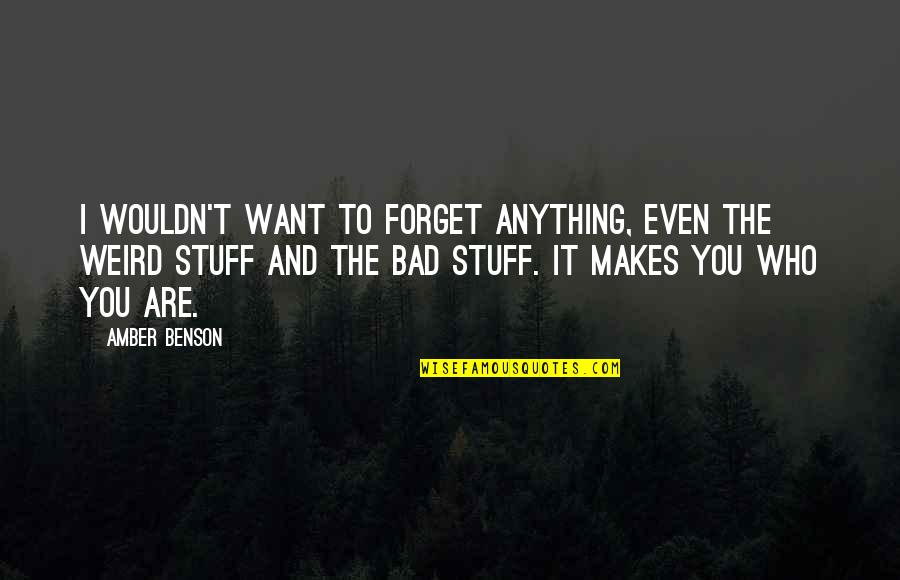Working To Get What You Want Quotes By Amber Benson: I wouldn't want to forget anything, even the