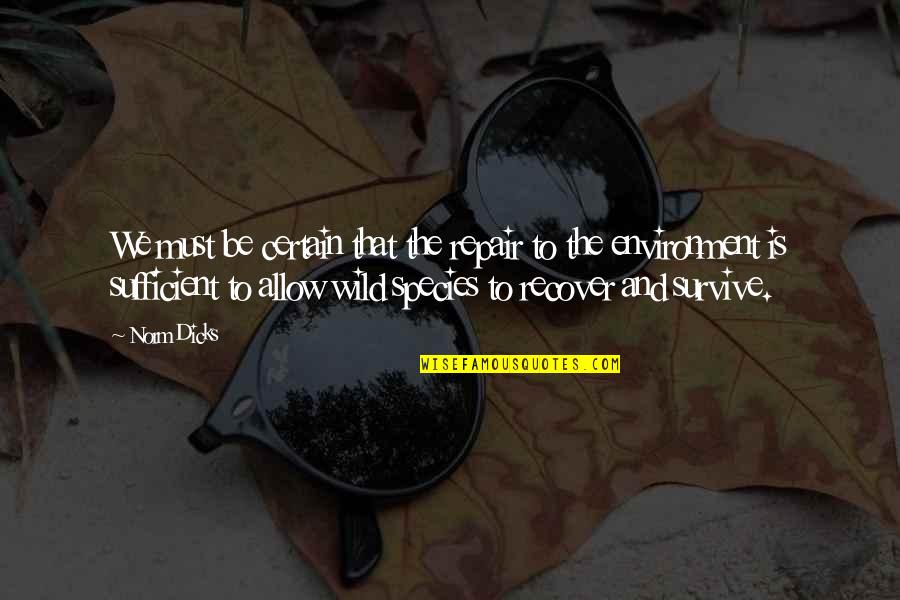 Working With Family Members Quotes By Norm Dicks: We must be certain that the repair to Working With Family Members Quotes By Norm Dicks: We must be certain that the repair to