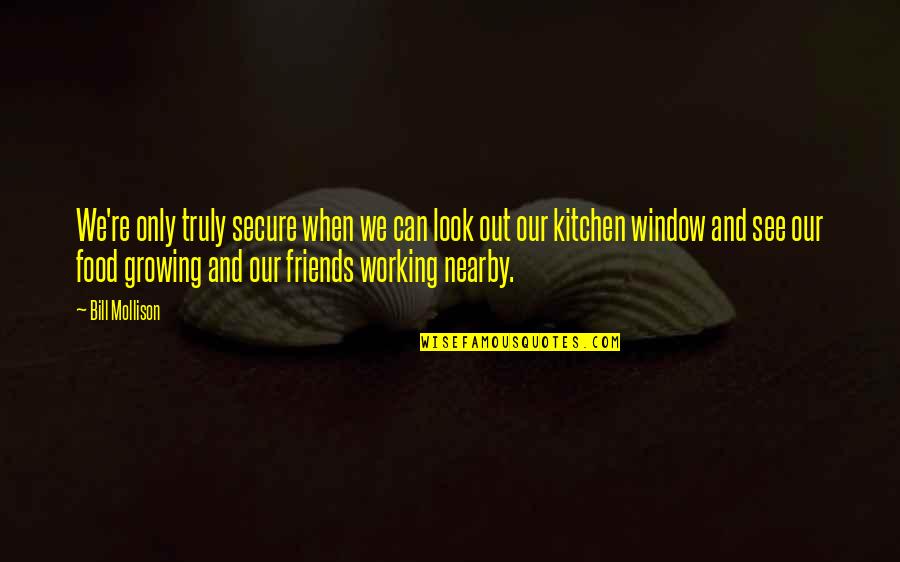 Working With Friends Quotes By Bill Mollison: We're only truly secure when we can look