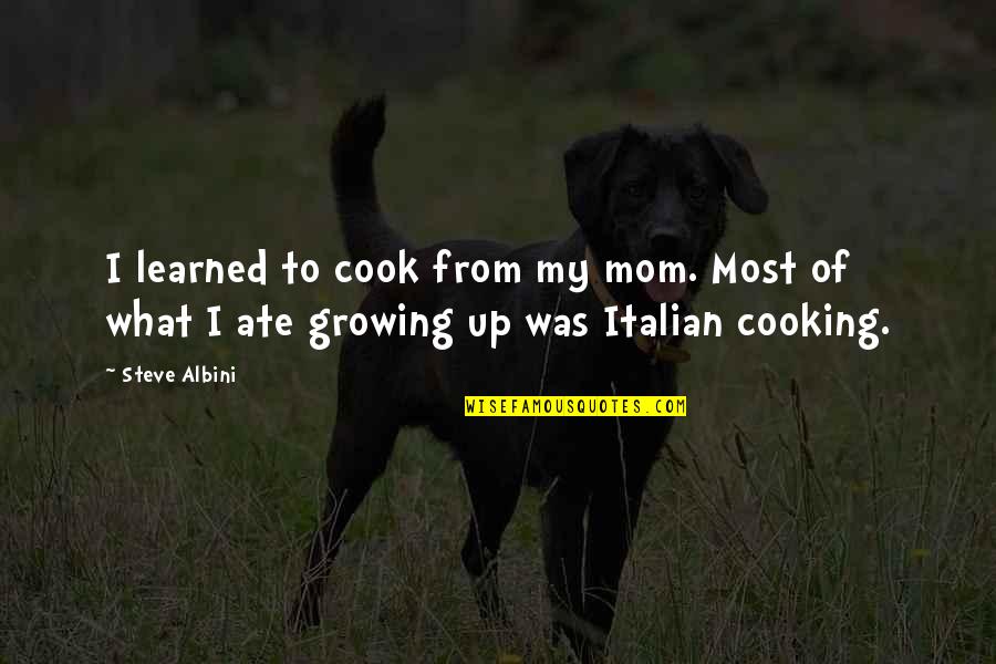 Working With Troubled Youth Quotes By Steve Albini: I learned to cook from my mom. Most