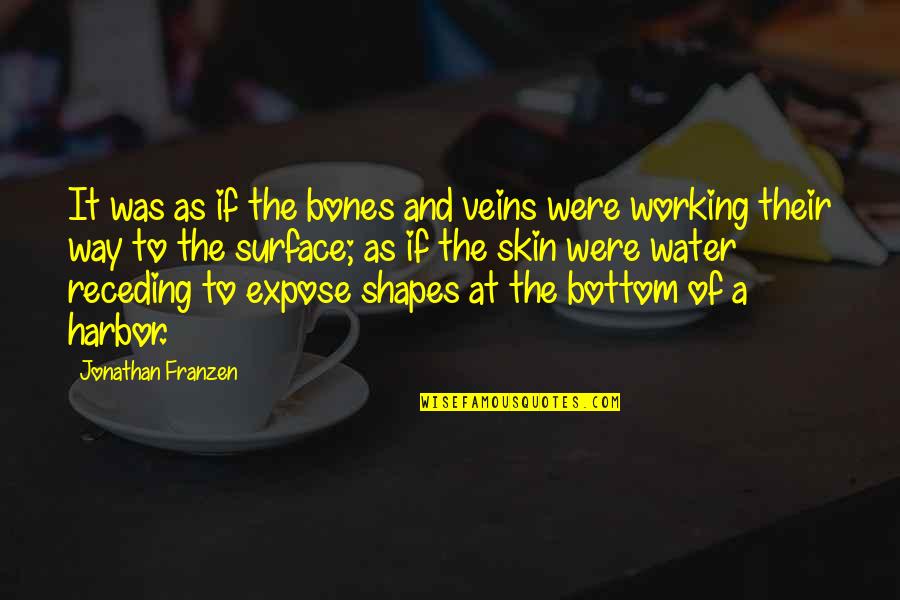 Working With Your Hands Quotes By Jonathan Franzen: It was as if the bones and veins