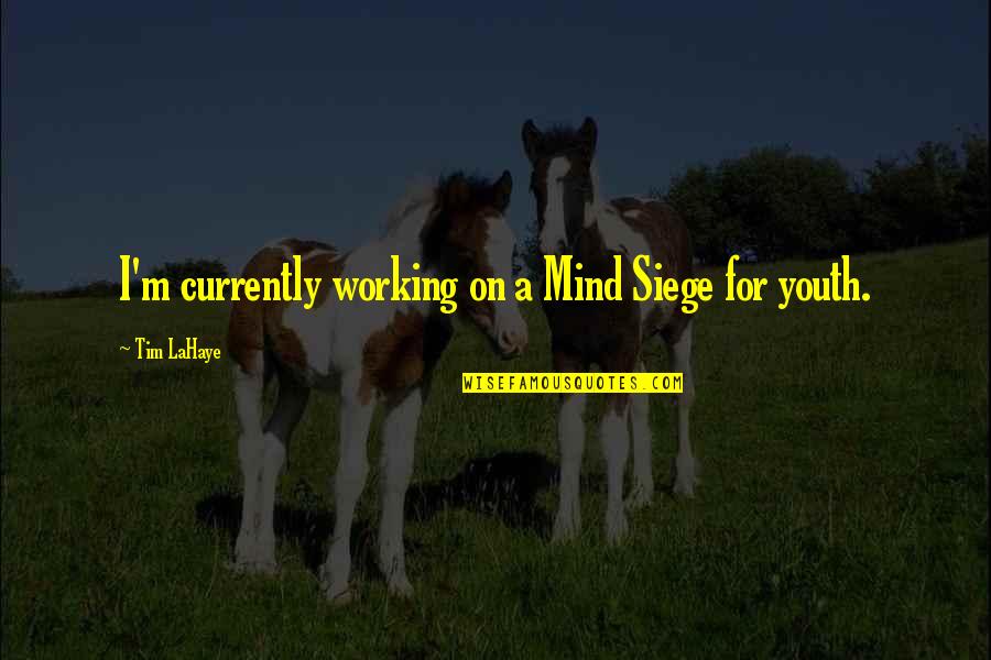 Working With Youth Quotes By Tim LaHaye: I'm currently working on a Mind Siege for