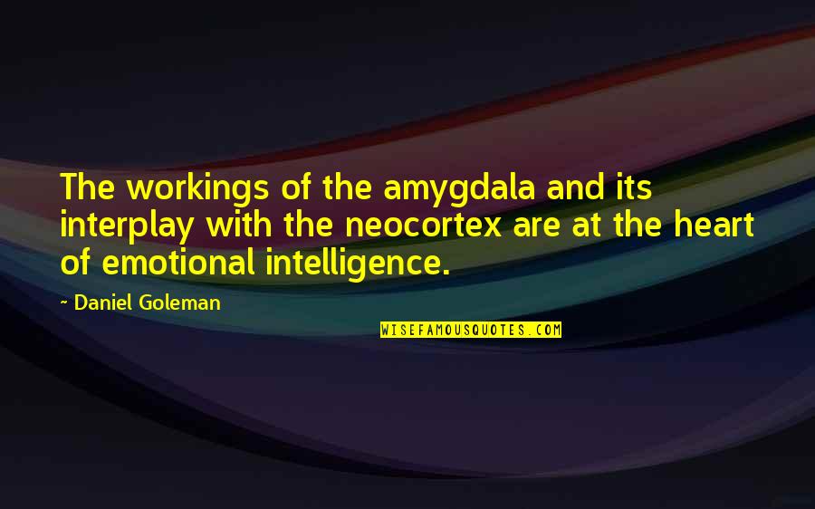 Workings Quotes By Daniel Goleman: The workings of the amygdala and its interplay