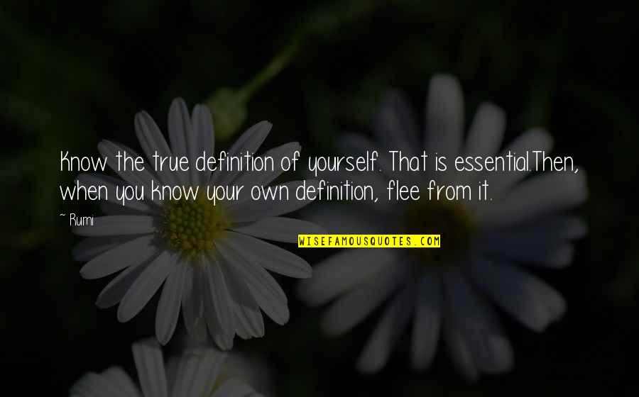 Workout Partners Quotes By Rumi: Know the true definition of yourself. That is