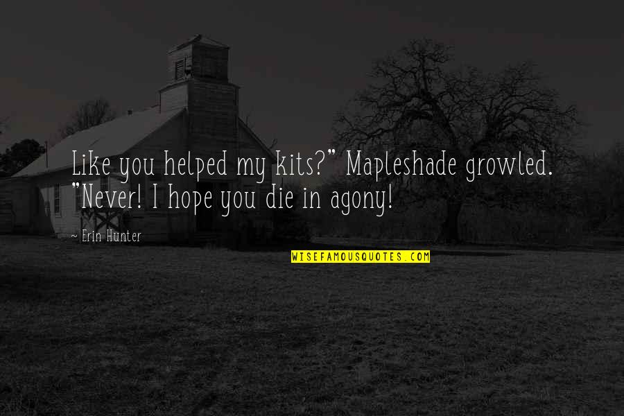 Workplace Bias Quotes By Erin Hunter: Like you helped my kits?" Mapleshade growled. "Never!
